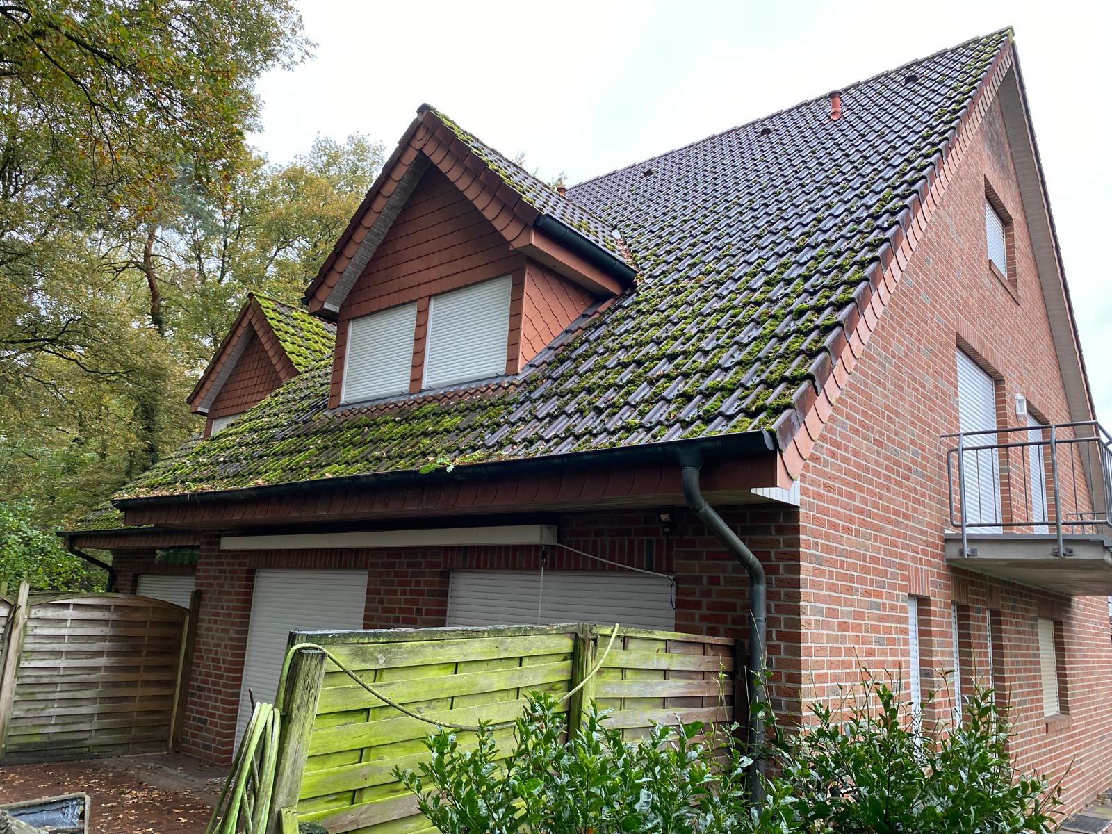 Dach vor der Reinigung - Starker Moosbewuchs